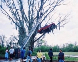 BigFish-Tournage-25