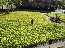 BigFish-Tournage-60