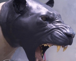 BigFish-Production-Preproduction-08