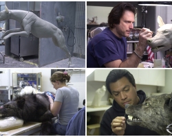 BigFish-Production-Preproduction-16