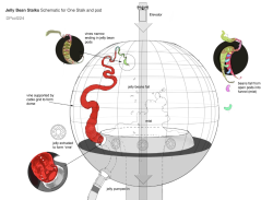 CharlieetlaChocolaterie-Production-Croquis-232