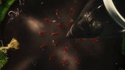 CharlieetlaChocolaterie-Film-082