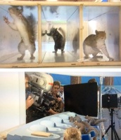 CharlieetlaChocolaterie-Tournage-095