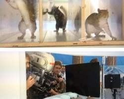 CharlieetlaChocolaterie-Tournage-095
