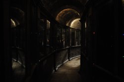 DarkShadows-Tournage-002