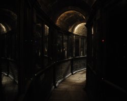DarkShadows-Tournage-002