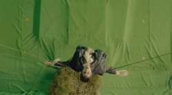 DarkShadows-Tournage-176