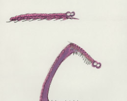 TimBurton-Croquis-323