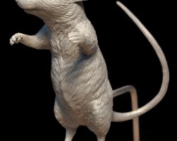Dumbo-Production-Preproduction-17