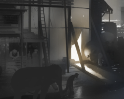 Dumbo-Production-Croquis-035