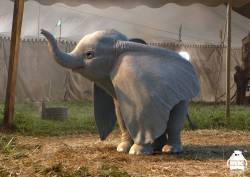 Dumbo-Production-Croquis-108