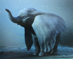 Dumbo-Production-Croquis-117