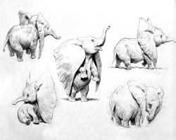 Dumbo-Production-Croquis-118
