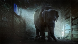 Dumbo-Production-Croquis-156