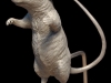 colin-shulver-mouse1