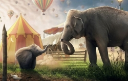 Dumbo-Promotion-23