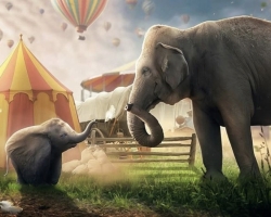 Dumbo-Promotion-23