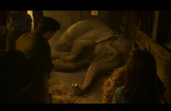 Dumbo-Film-036