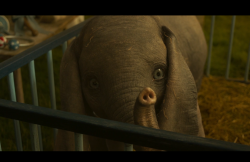 Dumbo-Film-060