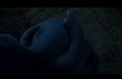 Dumbo-Film-096