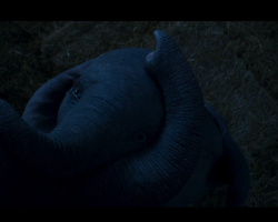Dumbo-Film-096