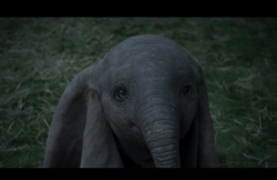 Dumbo-Film-101