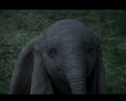 Dumbo-Film-101