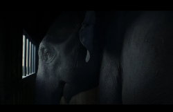 Dumbo-Film-102