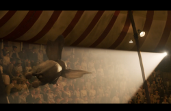 Dumbo-Film-131
