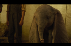 Dumbo-Film-152