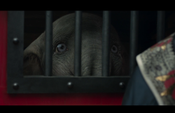 Dumbo-Film-166