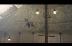 Dumbo-Film-181