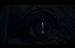 Dumbo-Film-217