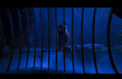 Dumbo-Film-249