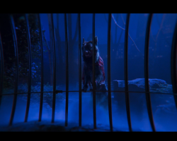 Dumbo-Film-249