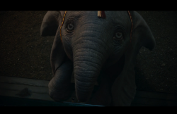 Dumbo-Film-333