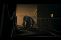 Dumbo-Film-361