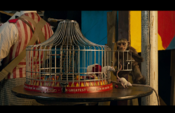 Dumbo-Film-365