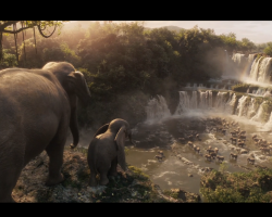 Dumbo-Film-381