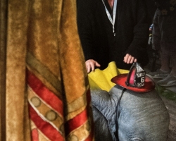Dumbo-Tournage-032