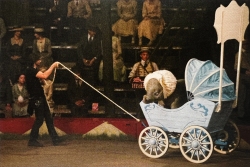 Dumbo-Tournage-063