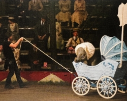 Dumbo-Tournage-063