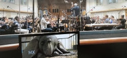 Dumbo-Tournage-082