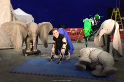 Dumbo-Tournage-115