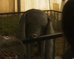 Dumbo-Production-PostProduction-07