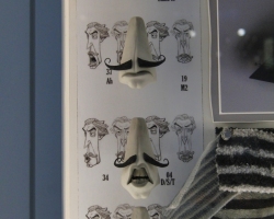 Frankenweenie-Promotion-Exposition-100