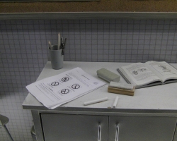 Frankenweenie-Promotion-Exposition-119
