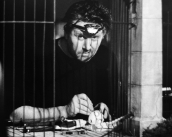 Frankenweenie-Tournage-101