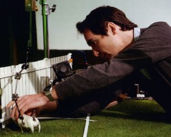 Frankenweenie-Tournage-127