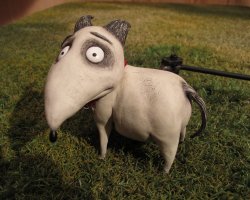 Frankenweenie-Tournage-131